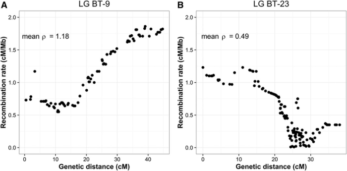 The relationship between loci and linkage that morgan described is