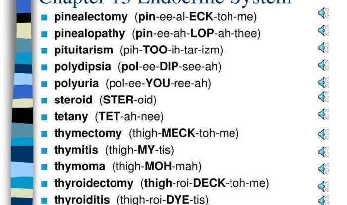 Chapter 9 the endocrine system answer key pdf