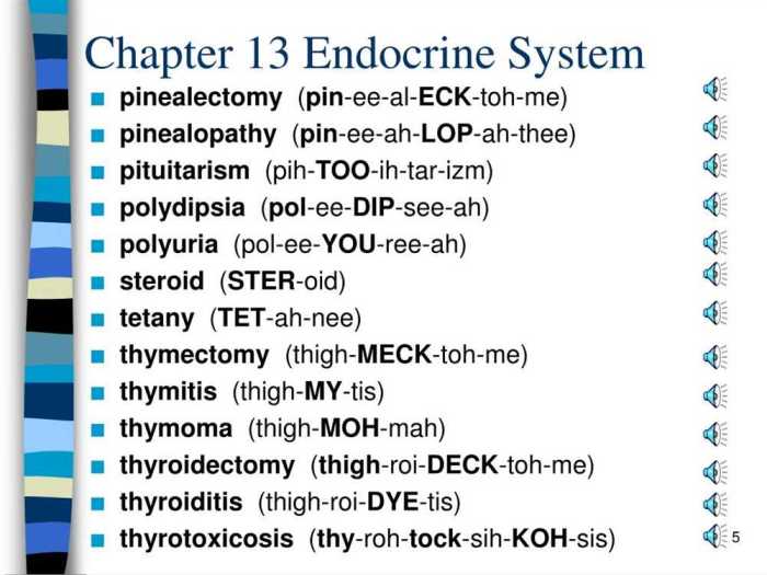 Chapter 9 the endocrine system answer key pdf