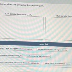 Match each description to the appropriate lipoprotein.