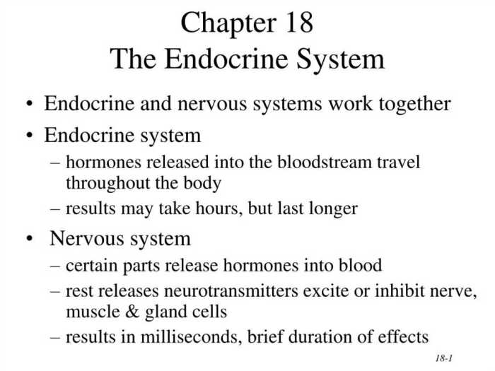 Chapter 9 the endocrine system answer key pdf