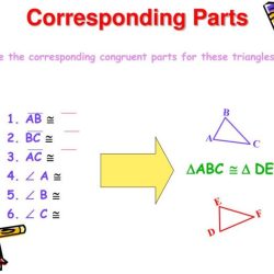 Triangles perimeter congruence nagwa